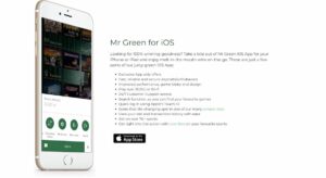 mr green casino app