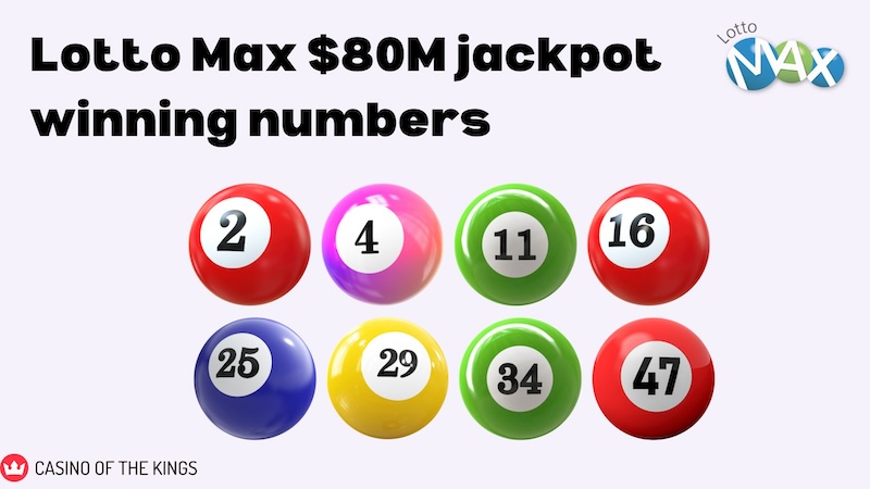 lotto max winning numbers