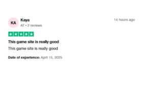 Vincispin Customer Reviews
